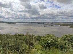 Flora del Cerro Masatrigo
